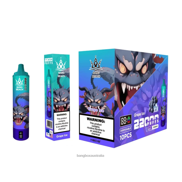 Bang Box Vape Price ZT42419 Grape Ice | Bang Beach 22000 Puffs Smart Screen