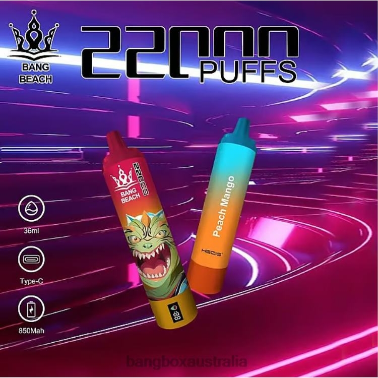 Bang Box Vape Price ZT42424 Peach Mango | Bang Beach 22000 Puffs Smart Screen