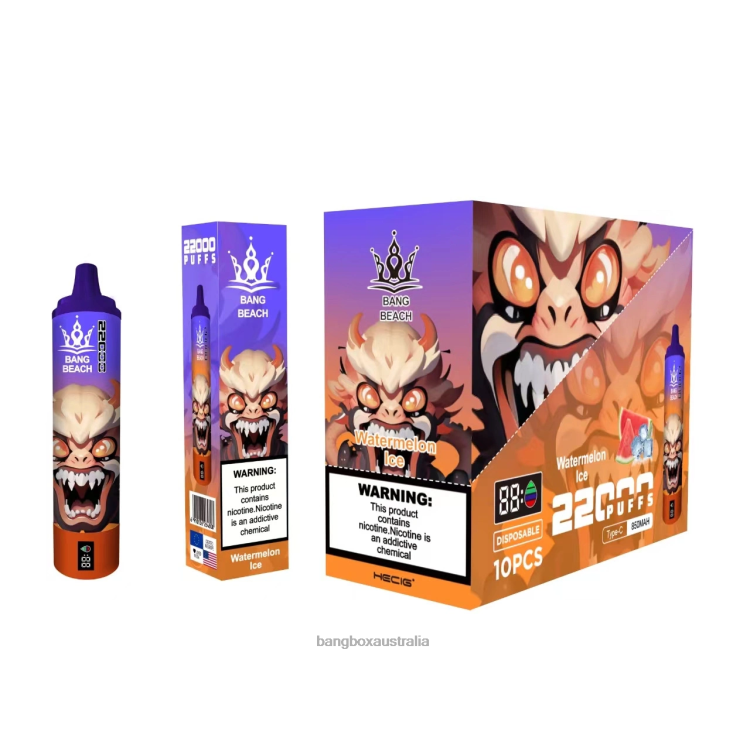 Bang Box Vape ZT42422 Watermelon Ice | Bang Beach 22000 Puffs Smart Screen