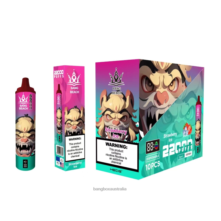 Bang Vapes Australia ZT42420 Strawberry Ice | Bang Beach 22000 Puffs Smart Screen