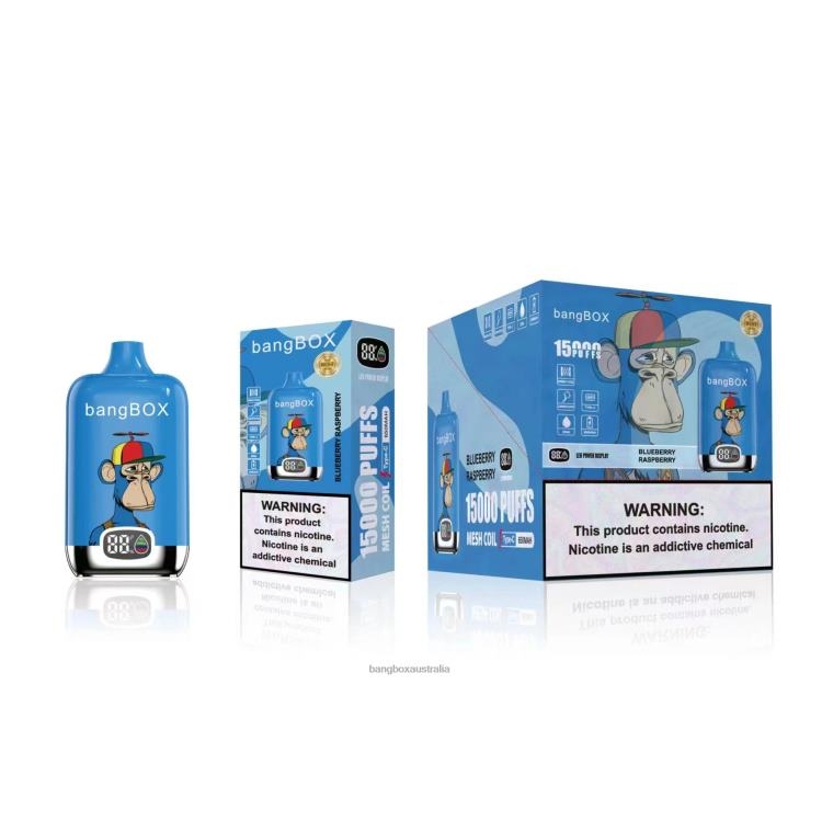 Bang Box Australia ZT42446 Blueberry Raspberry | Bang Box 15000 Puffs