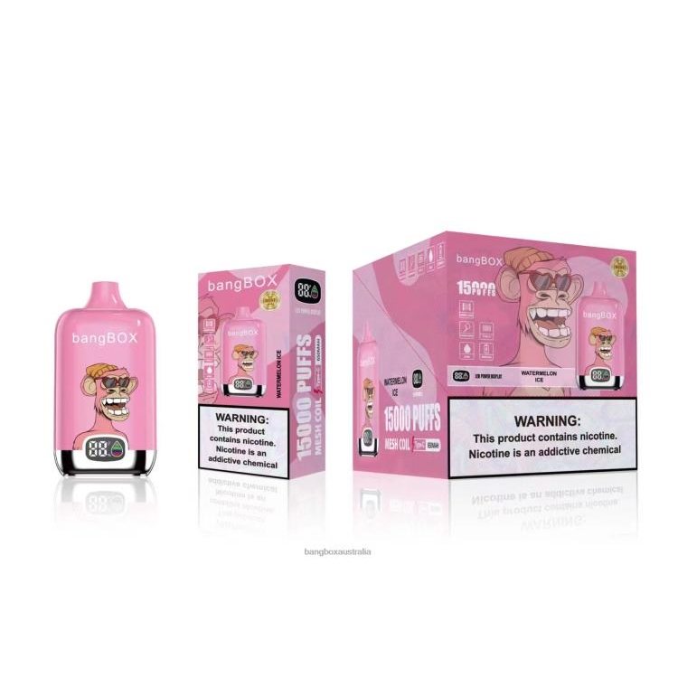 Bang Vapes Australia ZT42445 Watermelon Ice | Bang Box 15000 Puffs