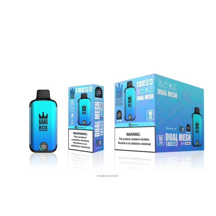 Bang Vapes Australia ZT42490 Blueberry Ice | Bang Box 18000 puffs
