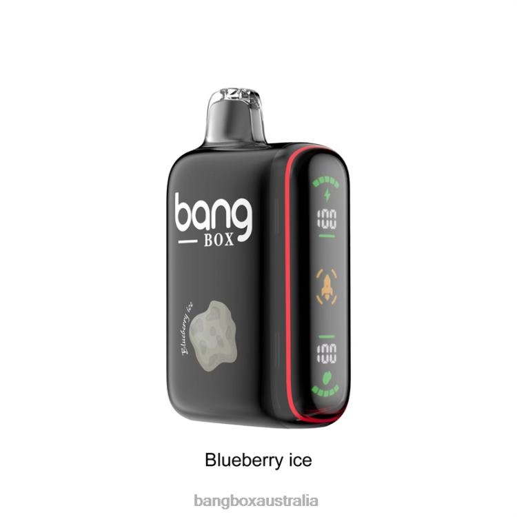Bang Box Vape ZT42432 Blueberry Ice | Bang Box 9000-18000 Puffs Intelligent Power Display